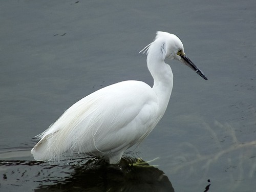 DSCF1869.jpg