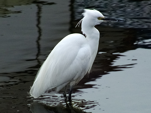 DSCF1881.jpg