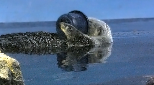 DSCF2119.png