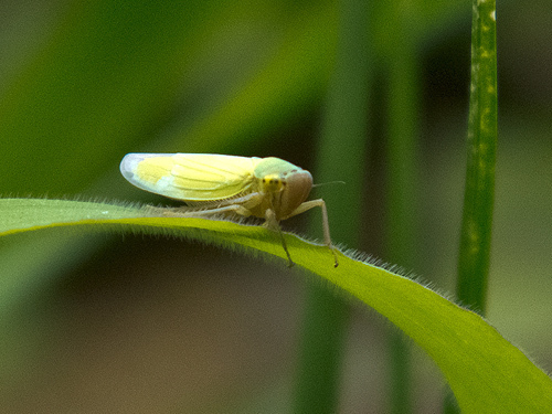 DSCF2170.jpg