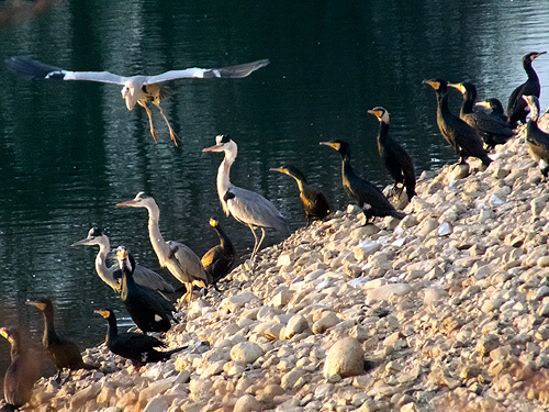 DSCF2532.jpg