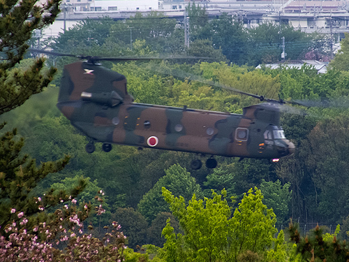 DSCF6459.jpg