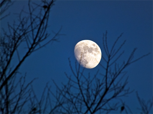 DSCF7485.jpg