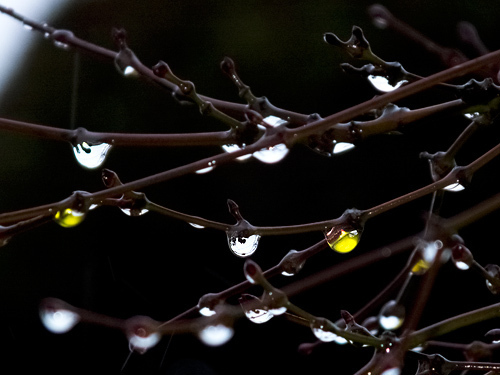 DSCF9685.jpg