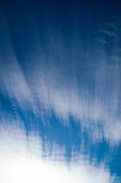 DSC_2276.png