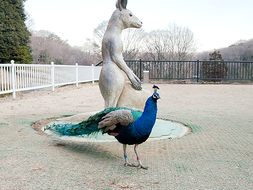 DSC_2368.png