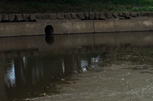池の排水口