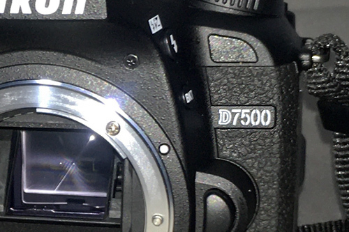 Nikon D7500