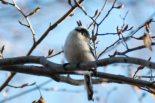 L_dsc_5721.jpg