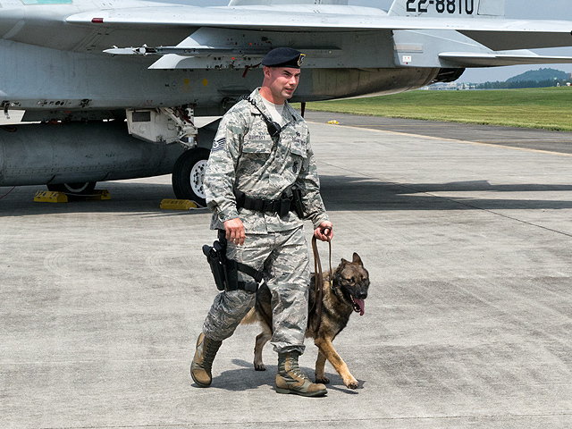 軍用犬