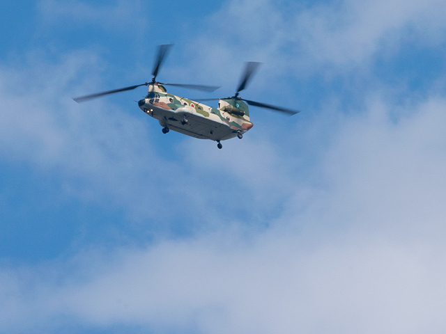 c_dsc8229.jpg