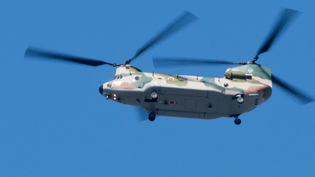 c_dsc8241.jpg