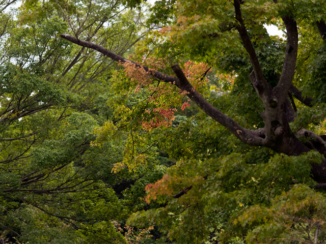 c_dsc8605.jpg