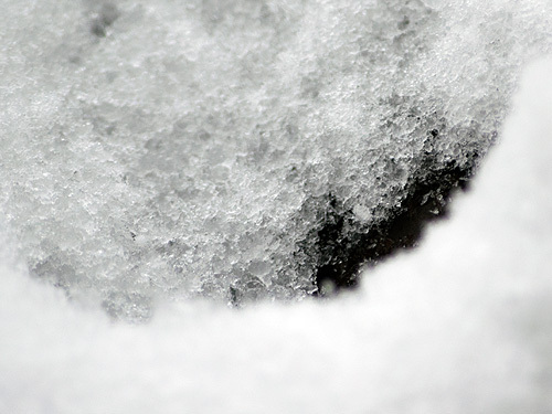 初雪