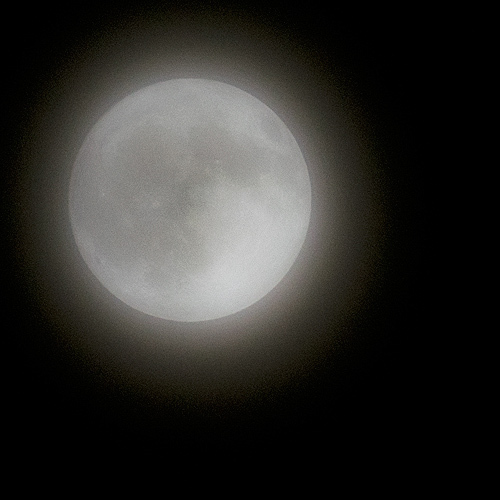 e_dsc7172.jpg