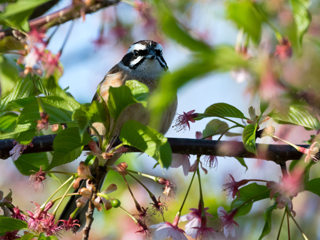 g_dsc3824.jpg