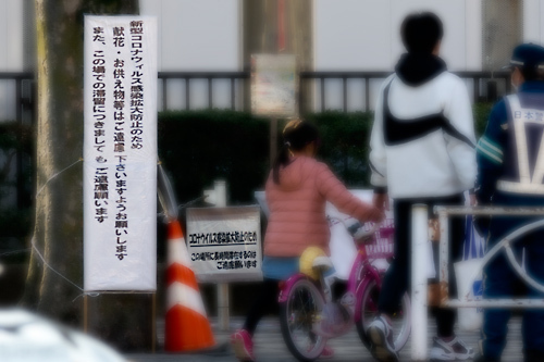 志村けんの木