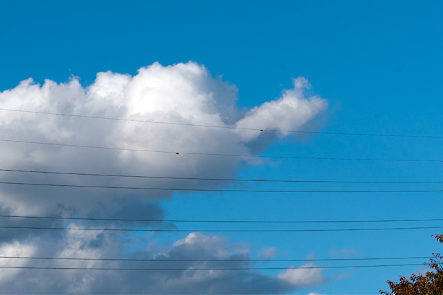 k_dsc_3641b.jpg